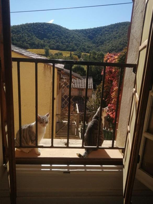 Homestay Campagne Hyeres