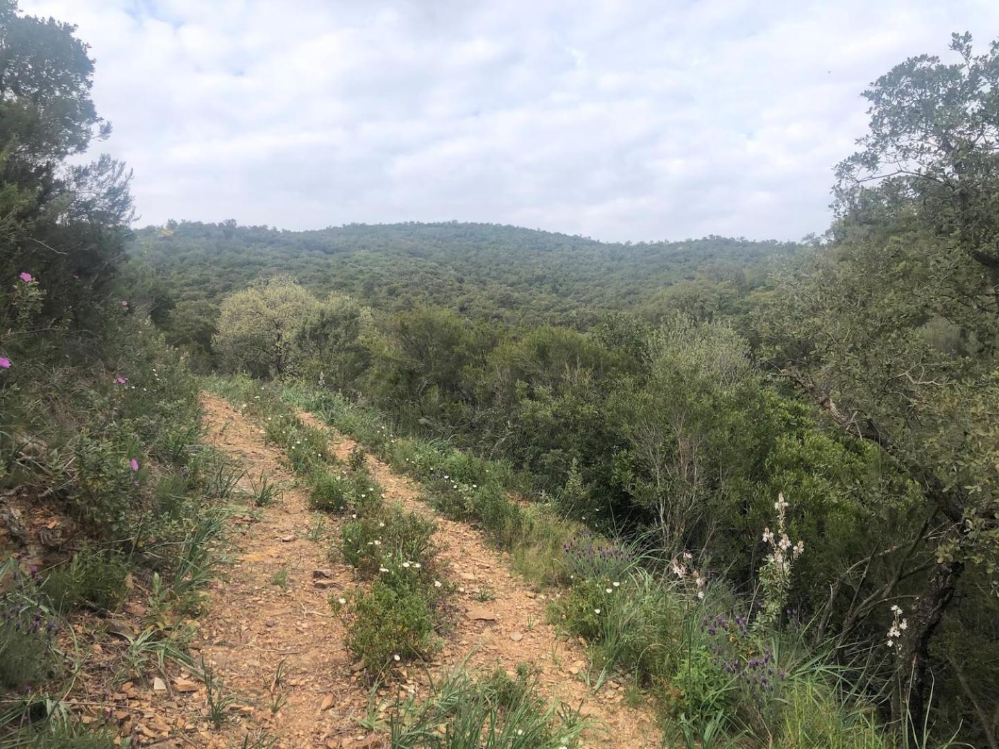Campagne * Hyères
